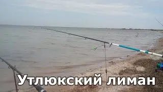 Открытие сезона ловли пеленгаса. Утлюкский лиман 11.04.2021. Golden Catch Amulet