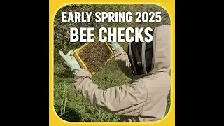 British beekeeping in spring 2025