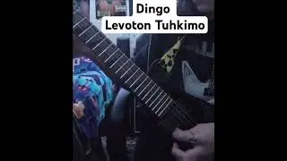 Dingo Levoton Tukimo Guitar cover