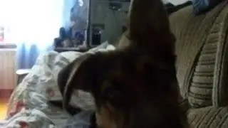 MOV00583