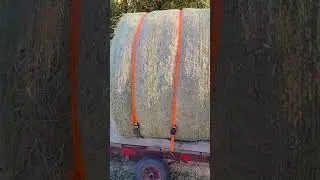 Coastal Bermuda grass hay round bale on trailer