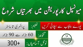 Municipal Corporation Punjab Jobs 2022 | Latest Government Punjab Jobs 2022 | PK Jobs Factory