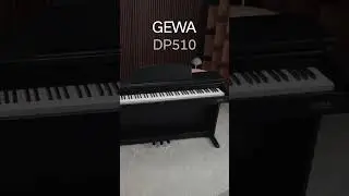 สัมผัสประสบการณ์ Steinway D274 คุณภาพสูง GEWA DP510