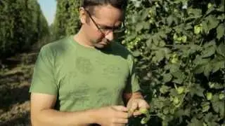 Northwest Hop Bounty (TV)