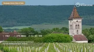 Geographical denomination: The first step towards the notion of terroir &ndash; Focus Bourgogne