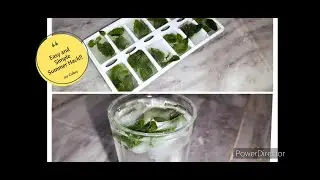 Easy and Simple Summer Ice Cube Hack | Mint Lemon Ice Cubes | By - Make Cooking Ez! |