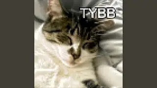 TYBB