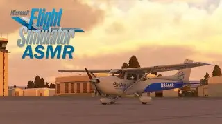 Come Fly with Me! | Cinematic Microsoft Flight Simulator ASMR | Soft Spoken/Whispered Flight