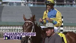 Повтор трансляции из Gulfstream Park | 29 января 2026 г.