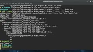 Kubernetes Secrets and Config Maps