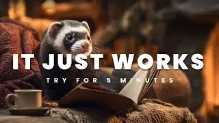 Music for Ferrets TESTED Relax Your Ferret in 5 Min with This Sound #ferretmusic