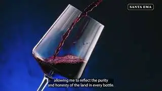 4to Elemento  - Sustainable from the origin