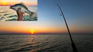 Fishing For Yellowbelly And Redfin At Waranga Basin