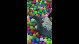 #|shorts#viral#video #minivlog2023 #minivlog2 @basantigoudavlogs \\ daily vlogs