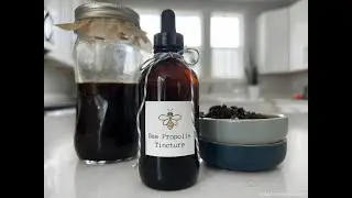 DIY Propolis Tincture Recipe
