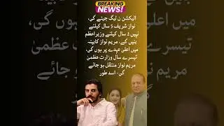 Election PMLN jeetay gi #pmln #nawazsharif #shehbazsharif