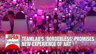teamLab's 'Borderless' Promises New Experience of Art | JAPAN Forward