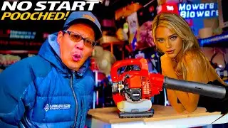 YARD SALE PICKED $25 ECHO ES-250 HANDHELD GAS LEAF BLOWER SHREDDER MULCHER NO START TROUBLESHOOTING