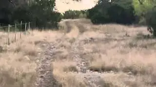 Random song&hellip; perfect timing! It&rsquo;s deer season but Spring turkey season is on the way. 