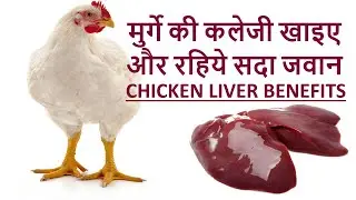 मुर्गे की कलेजी खाइए और रहिये सदा जवान #CHICKEN LIVER BENEFITS#pradeepkumarbangde