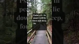 Sleep in God&rsquo;s Peace 🌙 | Psalm 4:8