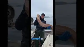 What did we catch?!? BIZZARE FISH 🐟 - ALASKA