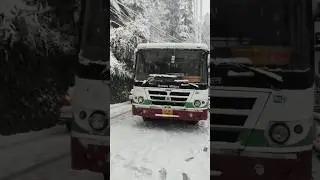 HRTC Bus Stuck in Heavy Snowfall ❄️💀 #shorts #viral #reels #trending #travel #snow #hrtc ✨🤍🏔️