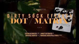 Dirty Sock Effects Dot/Matrix Envelope Tremolo, Ringed & Bitcrusher | Vignette Demos