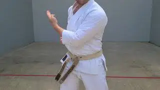 Karate Moves | SUKUI UKE - SCOOPING BLOCK