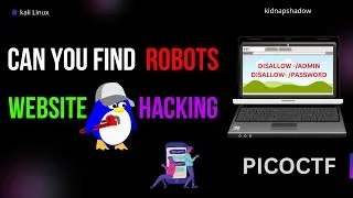 Hackers Use robots.txt Like This 😱 | Hidden Page Found! | picoCTF Walkthrough