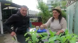 Tatilimiz Nasıl Geçti Isviçre`de Bahçemizde Sohbet#tatil #türkiye #isviçre#mersin