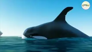 Team work/animated video 