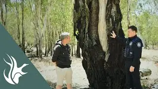 Aboriginal Cultural Heritage Awareness at Victorian wetlands
