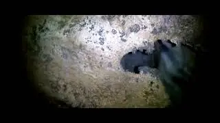 Full Color Cave Exploration in Low Light