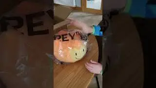 BFDI FIREY PLUSH UNBOXING VIDEO!
