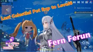 Last Celetial pet exp, Tower of Fantasy MMO gameplay walkthrough with Fern Ferun and Frieren Herz