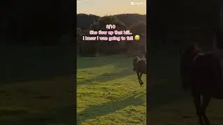 which ones the funniest? 🤓 #fyp #shorts #horse #fails #score #funny #horseriding