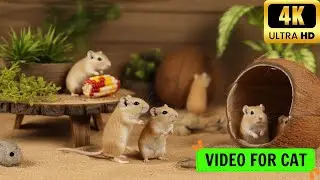 Cat TV Mouse: Cute Mice Peek, Hide & Chase &ndash; Relaxing Fun for Cats | 3H 4K UHD 60FPS
