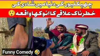 Lizards 🦎 ki dunia mein shadi | khattarnak elaqay ka anookha waqia | Funny Comedy 