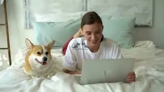 brain training 4 dogs