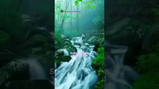 Surah Al Rehman #islam #quran#recitation#ramadan #shorts #shortsfeed #trendingshorts#viralreels