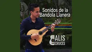 Mi Camagu&aacute;n