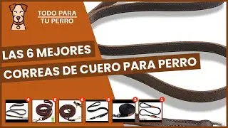Las 6 mejores correas de cuero para perro
