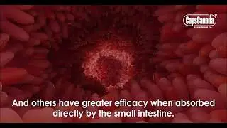 Acid Resistant Capsules for pharmaceutical applications