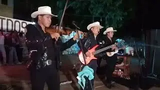 FILM. CHAVEZ. TRÍO VOCES DE MI TIERRA 