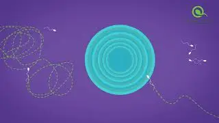 HoMedics&reg; SwimCount&trade; Sperm Quality Test