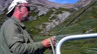 Stor fisk