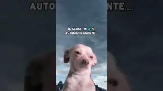 Servicio de lavander&iacute;a por encargo