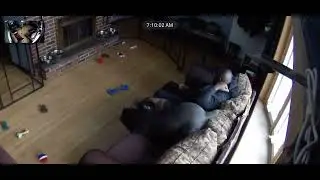 Unprovoked Cane Corso pack attack owner on the couch.