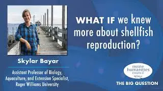 What if we knew more about shellfish reproduction? | Skylar Bayar